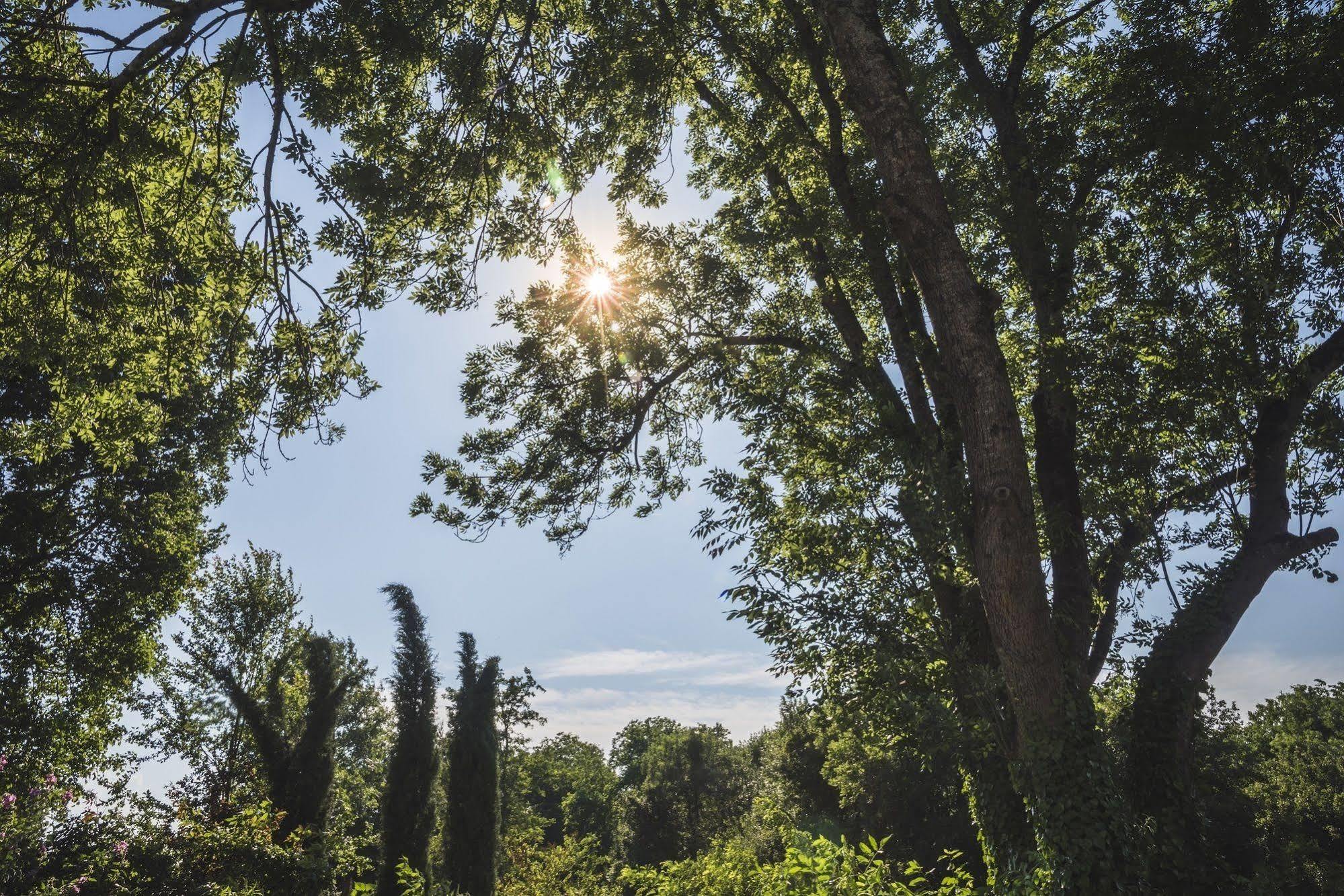 Domaine De Terrac Bed & Breakfast Rimont Ngoại thất bức ảnh